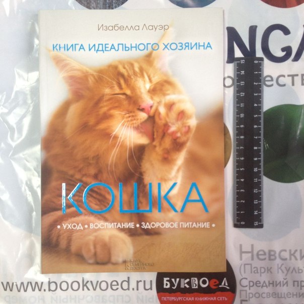 О книгах:  Книга дня - Кошка. Книга идеального хозяина С этой книгой между