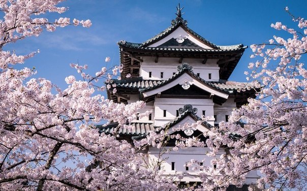 Читай;  Замок цветущей сакуры , Mahalarp Teeradechyothin Замок Хиросаки располагается в Японии, в префектуре Аомори.