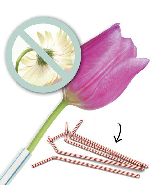 Вяжем:  ЛАЙФХАК КАК СОХРАНИТЬ БУКЕТ НА ВСЕ ПРАЗДНИКИ Когда вам дарят тюльпаны, нарциссы, или любые другие цветы с мягким стеблем, вы можете