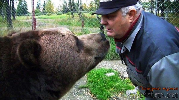 Настоящая дружба медведя и человека в России и по-Русски!