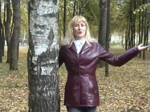 Посмотреть видео Видеоклип "Мой город" Владимир Кочергин Ковров.avi